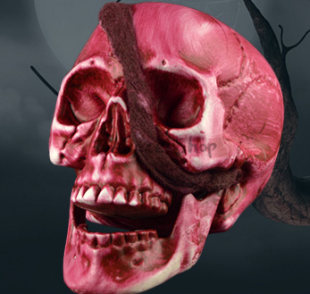 Cráneo de Horror Decoraciones de Halloween