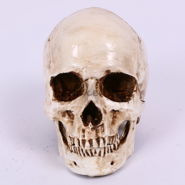 Cráneo de Separación de Dientes Decoraciones de Halloween