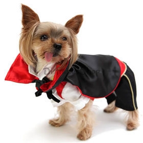 Disfraces para Mascotas Traje de Vampiro de Halloween