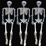 Suministros de Halloween Accesorios de Esqueleto para Adultos