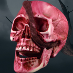 Cráneo de Horror Decoraciones de Halloween