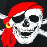 Bandera Pirata de Decoraciones de Halloween