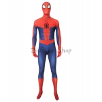 Disfraz de Spiderman Into The Spider Verse Peter - Personalizado