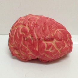 Apoyos Cerebrales Realistas Suministros de Halloween