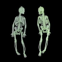 Pequeño Colgante de Esqueleto Decoraciones de Halloween