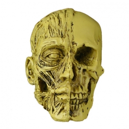 Suministros de Halloween Adorno de Calavera de Media Cara